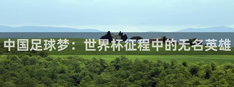 2026世界杯官网入口：中国足球梦：世界杯征程中的无名英雄