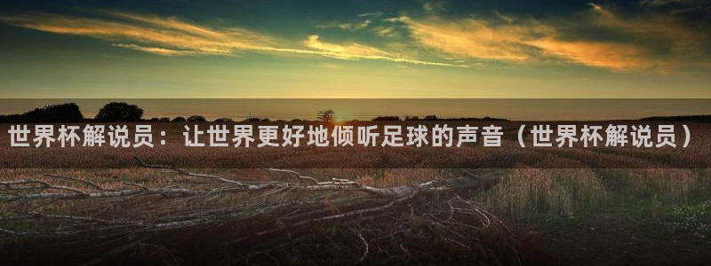 欧联杯直播：世界杯解说员：让世界更好地倾听足球的声音（世界杯解说员）