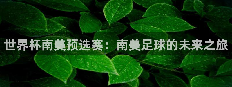 2026世界杯赛：世界杯南美预选赛：南美足球的未来之旅