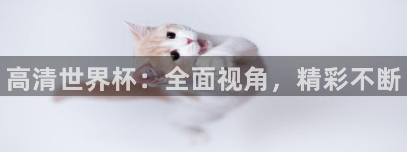 联赛杯直播：高清世界杯：全面视角，精彩不断