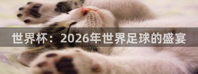 世界杯2026预选赛:世界杯:2026年世界足球的盛宴