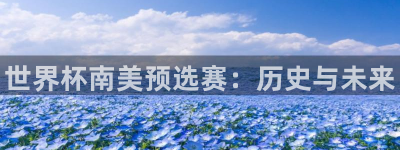 世界杯足球赛2026：世界杯南美预选赛：历史与未来