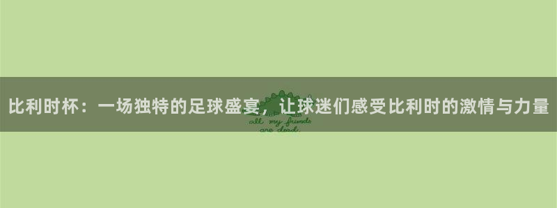 世界杯足球比赛：比利时杯：一场独特的足球盛宴，让球迷们感受比利时的激情与力量