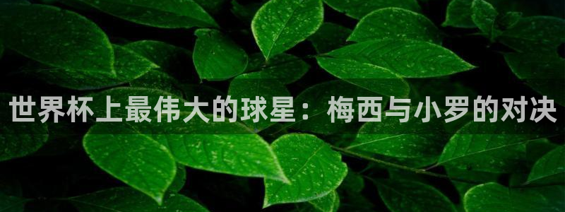 2026世界杯欧洲预选赛赛程表：世界杯上最伟大的球星：梅西与小罗的对决
