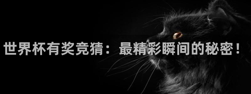 世界杯葡萄牙赛程：世界杯有奖竞猜：最精彩瞬间的秘密！