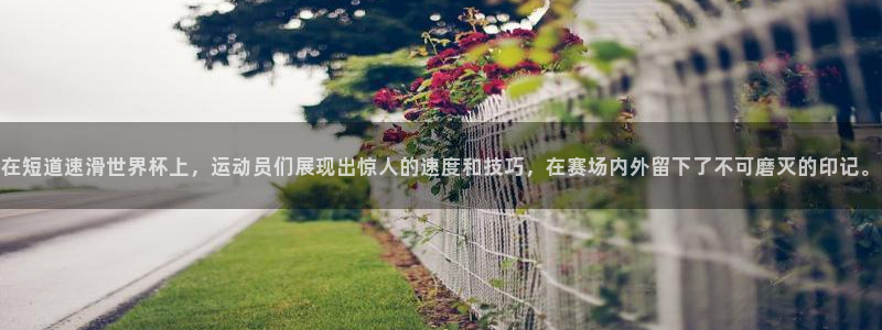 世界杯直播平台：在短道速滑世界杯上，运动员们展现出惊人的速度和技巧，在赛场内外留下了不可磨灭的印记。